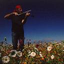 Sultansazl - iekler Arasndaki Kemanc