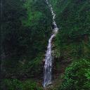 Ayder Yaylas - Kakar Dalar