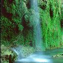 Kurunlu elalesi - Antalya