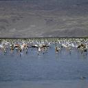 Sultansazl Ku Cenneti